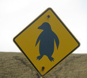 Google Penguin