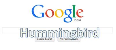 Google Hummingbird Cover